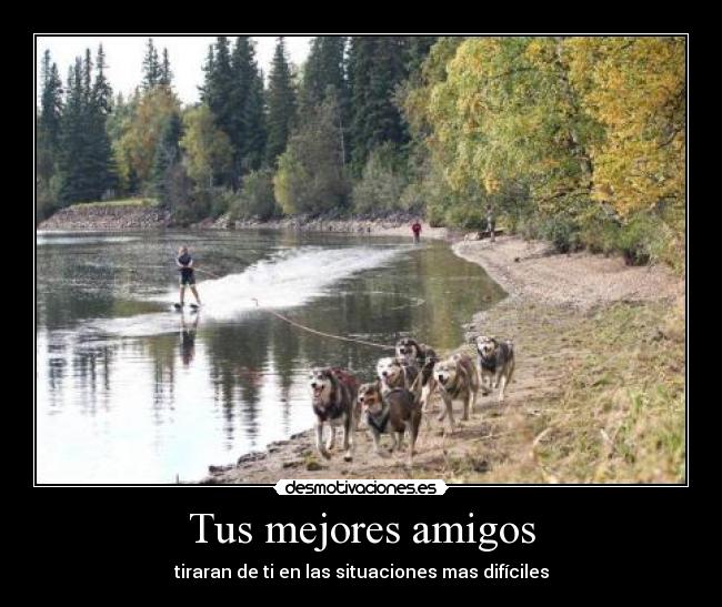 Tus mejores amigos - tiraran de ti en las situaciones mas difíciles