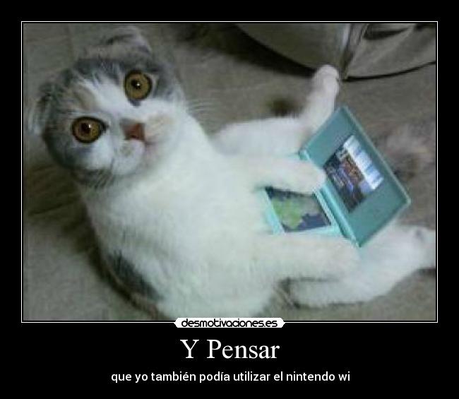 Y Pensar - que yo también podía utilizar el nintendo wi