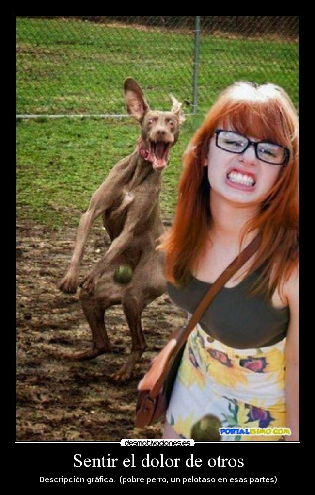Sentir el dolor de otros - Descripción gráfica. (pobre perro, un pelotaso en esas partes)