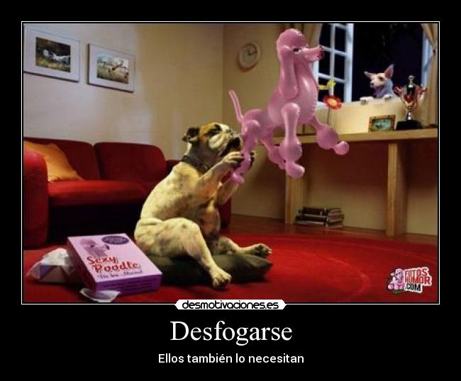 Desfogarse - Ellos también lo necesitan