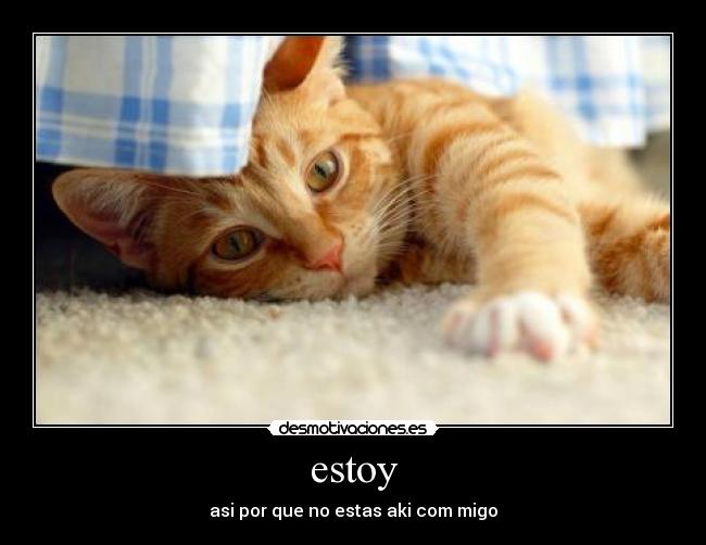 estoy - 