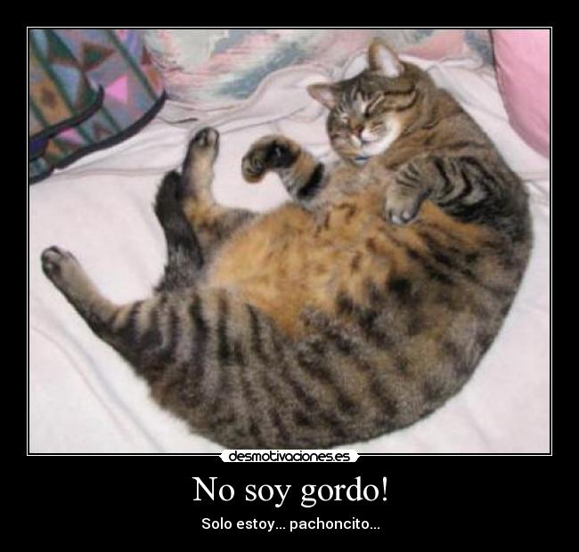 No soy gordo! - 
