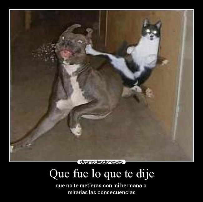 Que fue lo que te dije - 