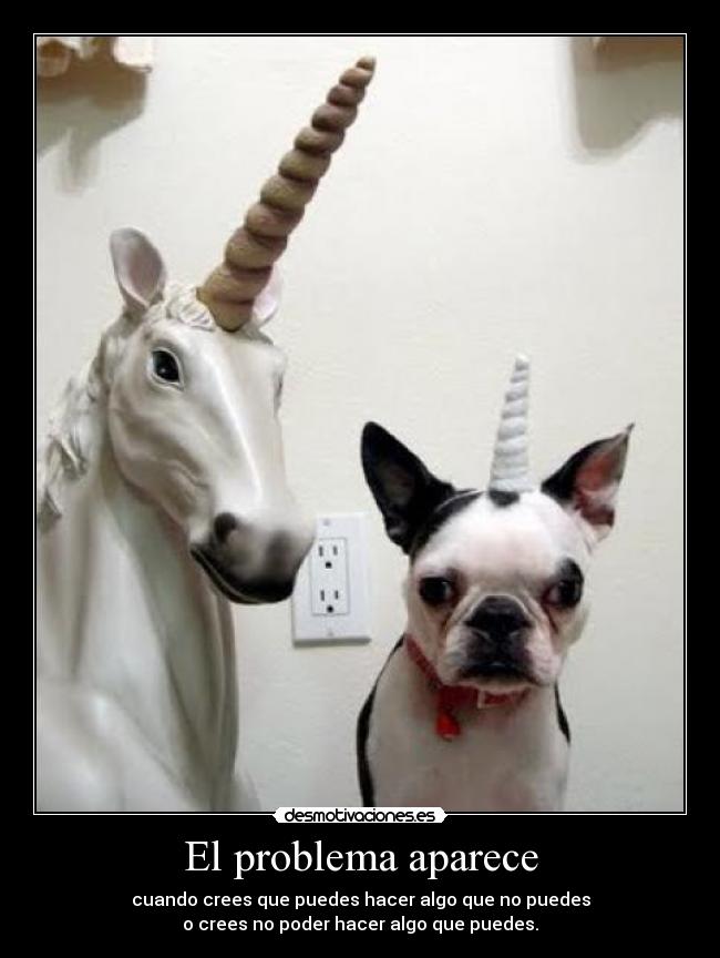 carteles nn desmotivaciones