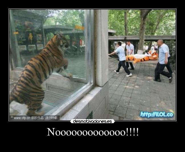 Nooooooooooooo!!!! -