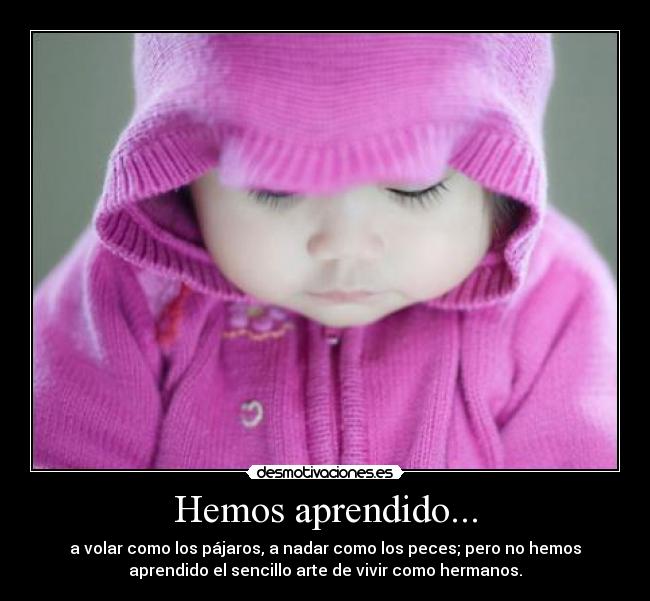 carteles hemos aprendido desmotivaciones