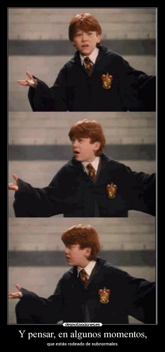 Y pensar, en algunos momentos, -