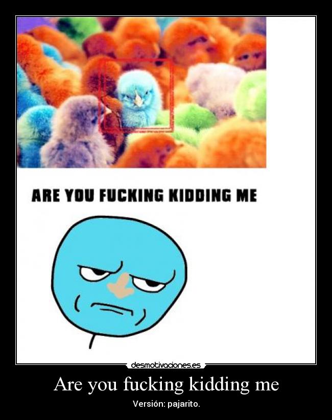 Are you fucking kidding me - Versión: pajarito.