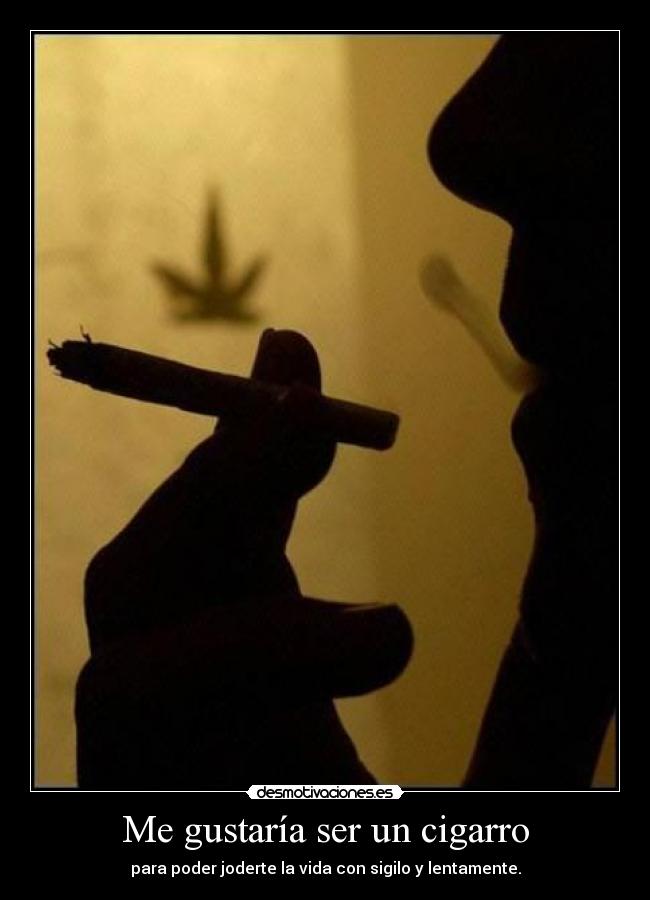 carteles cigarro desmotivaciones