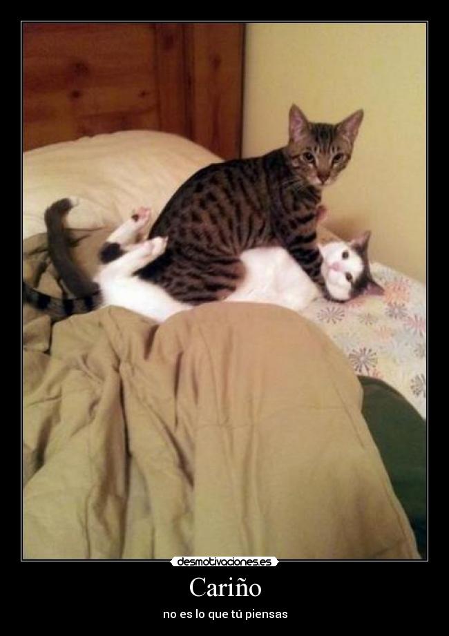 Cariño - no es lo que tú piensas
