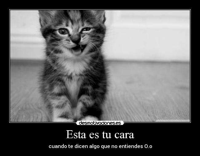 Esta es tu cara - 