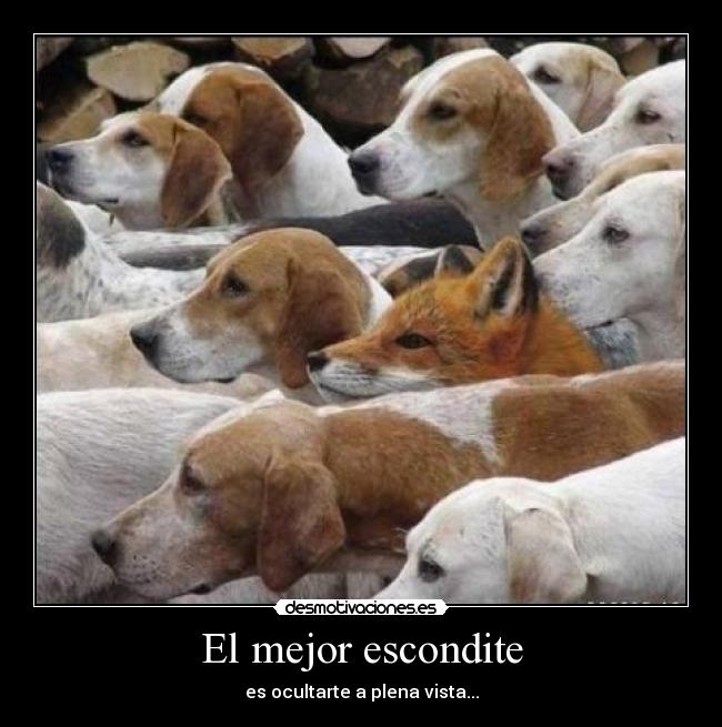 El mejor escondite - 