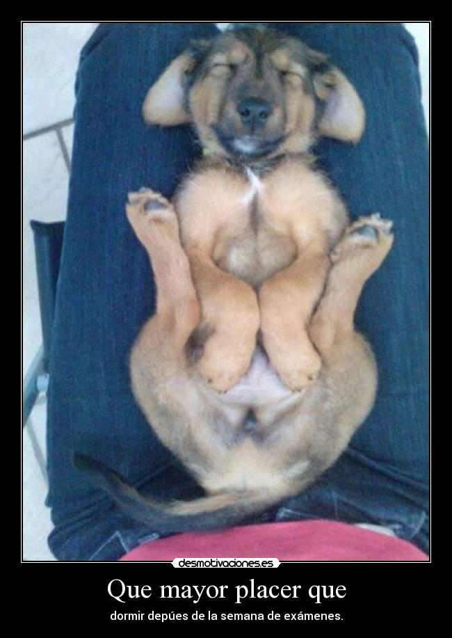 Que mayor placer que -