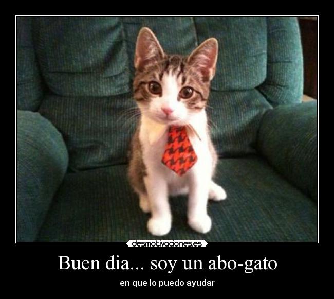 Buen dia... soy un abo-gato -