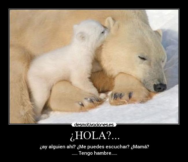 ¿HOLA?... - ¿ay alguien ahí? ¿Me puedes escuchar? ¿Mamá?
..... Tengo hambre.....