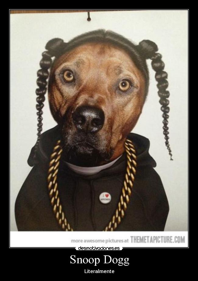 Snoop Dogg - Literalmente
