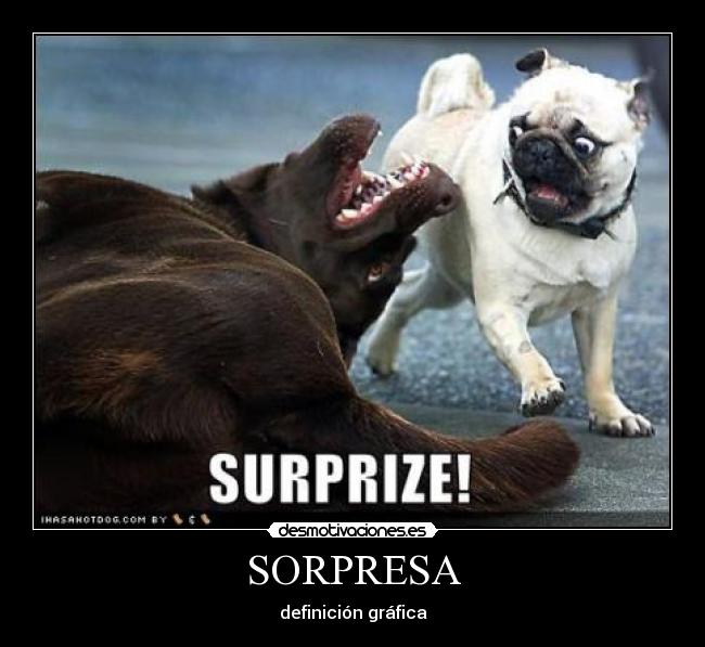 SORPRESA -