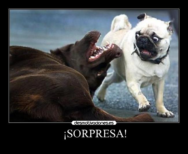 ¡SORPRESA! -