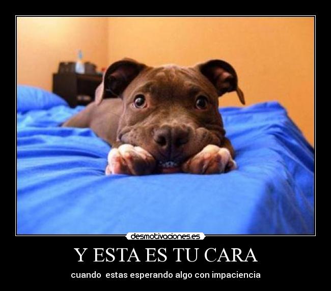 Y ESTA ES TU CARA - cuando  estas esperando algo con impaciencia