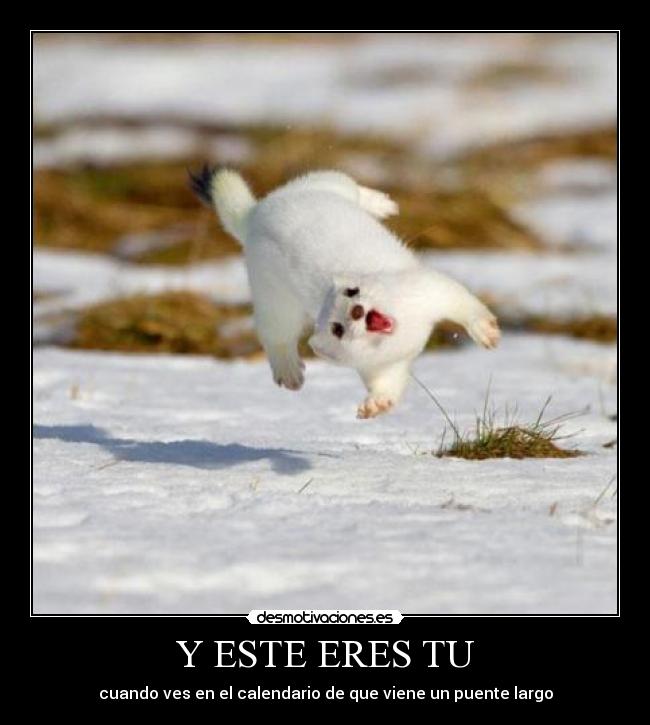 Y ESTE ERES TU - cuando ves en el calendario de que viene un puente largo