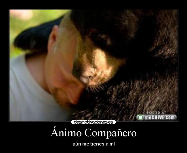Ánimo Compañero - aún me tienes a mí