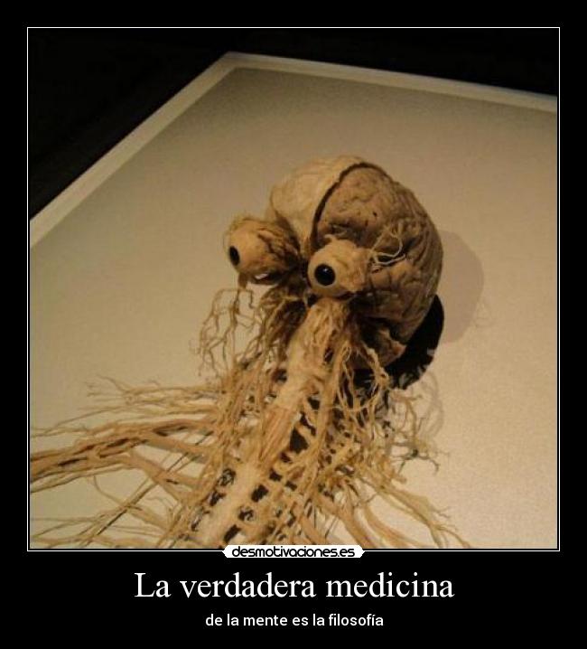 carteles ciceron inteligencia medicina gibson252 desmotivaciones