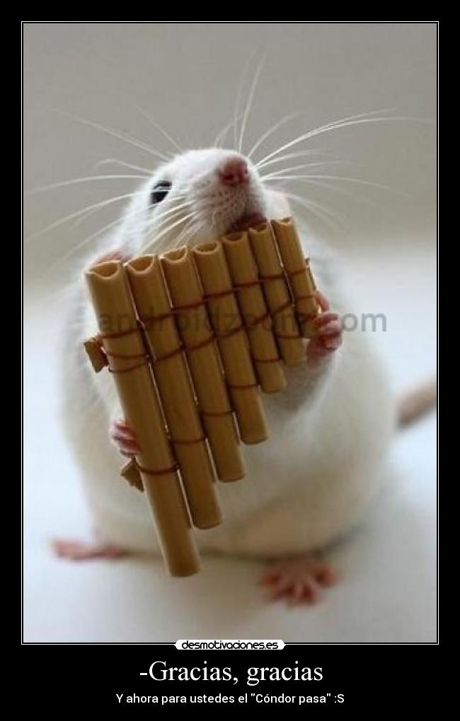 -Gracias, gracias - Y ahora para ustedes el Cóndor pasa :S