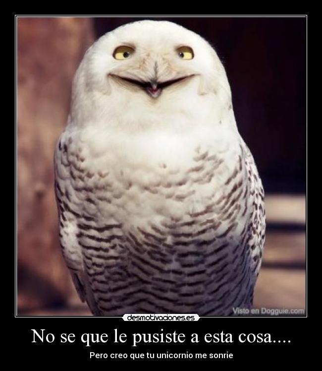 No se que le pusiste a esta cosa.... - Pero creo que tu unicornio me sonrie