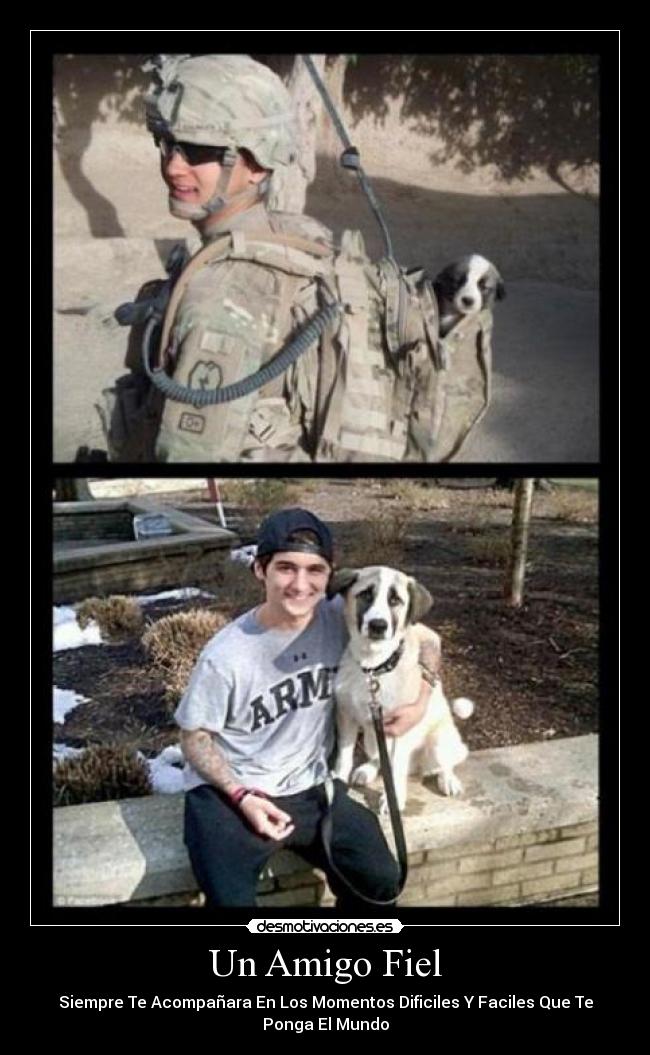 Un Amigo Fiel -
