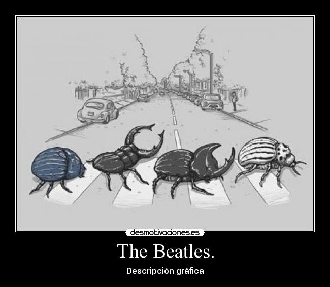 The Beatles. - 