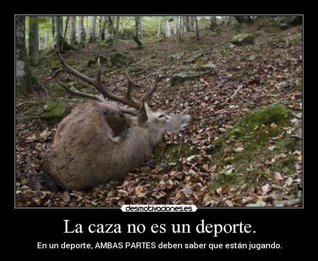 La caza no es un deporte. - En un deporte, AMBAS PARTES deben saber que están jugando.