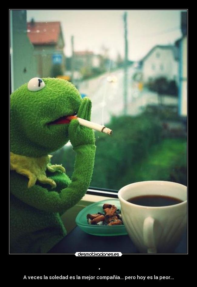 . - A veces la soledad es la mejor compañía... pero hoy es la peor...