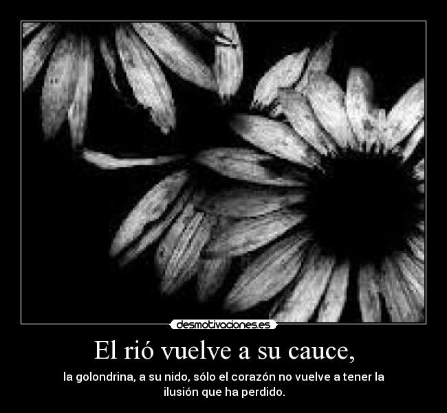 El rió vuelve a su cauce, - la golondrina, a su nido, sólo el corazón no vuelve a tener la ilusión que ha perdido.