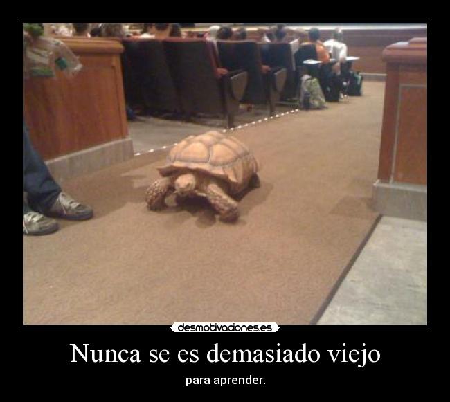 Nunca se es demasiado viejo - 