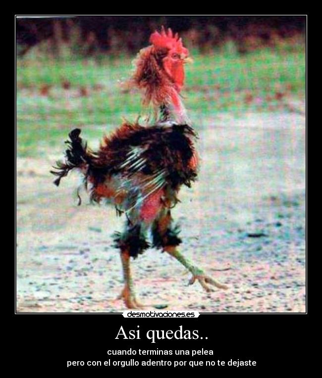 Asi quedas.. - cuando terminas una pelea
pero con el orgullo adentro por que no te dejaste