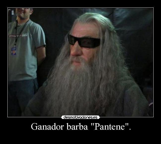 Ganador barba Pantene. - 
