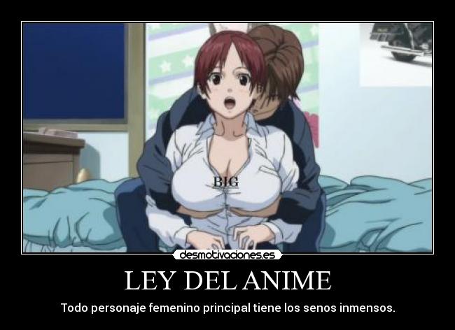 LEY DEL ANIME - 