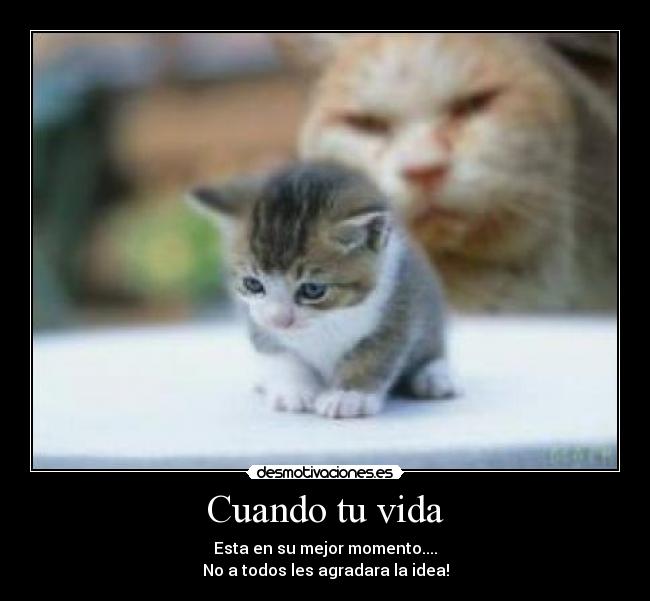 Cuando tu vida - Esta en su mejor momento....
No a todos les agradara la idea!