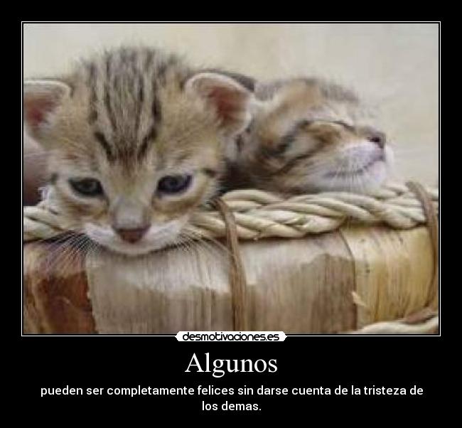 Algunos - 