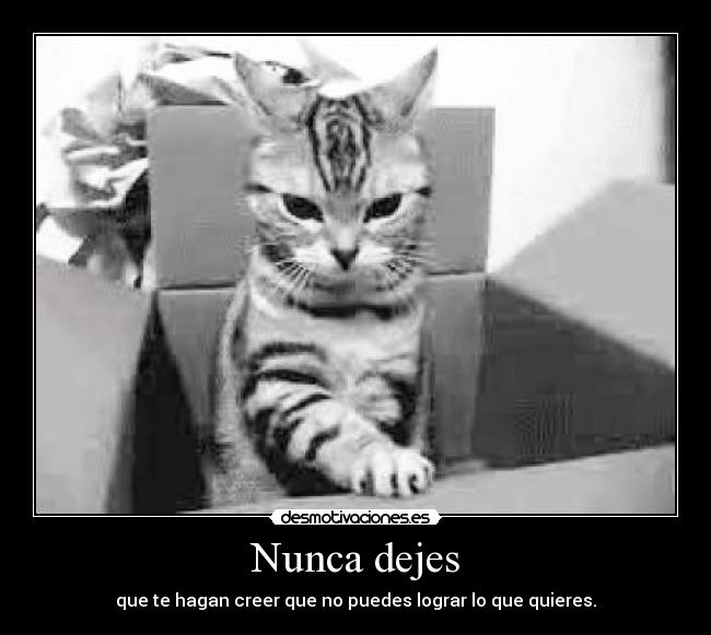 carteles eurekaaaaaaaaalolailoou desmotivaciones