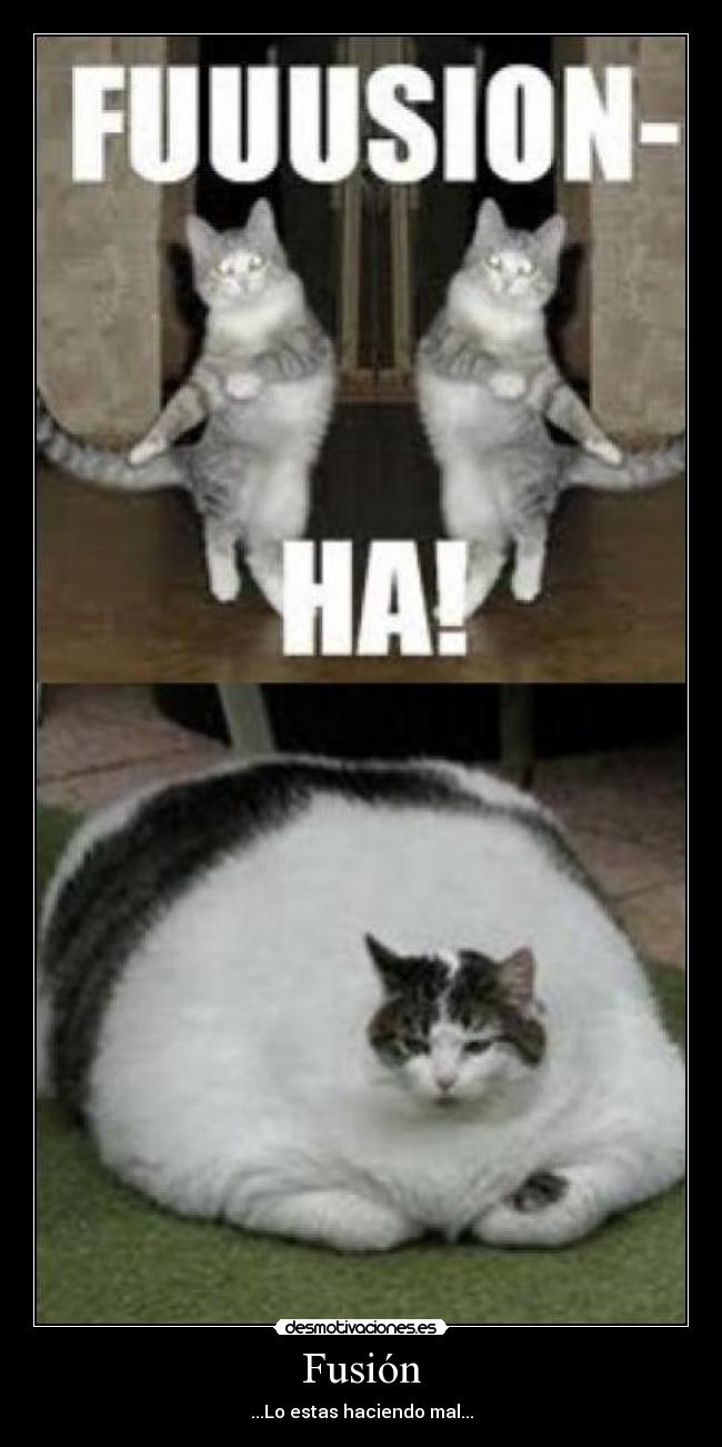 Fusión - ...Lo estas haciendo mal...
