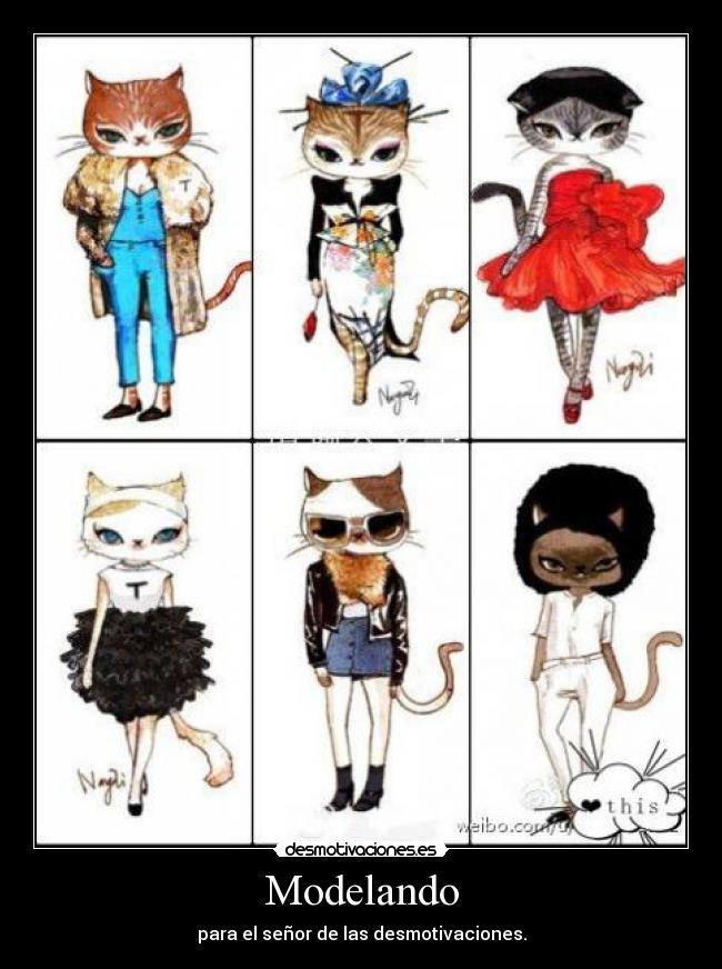 Modelando -