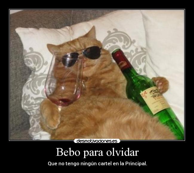 Bebo para olvidar - 