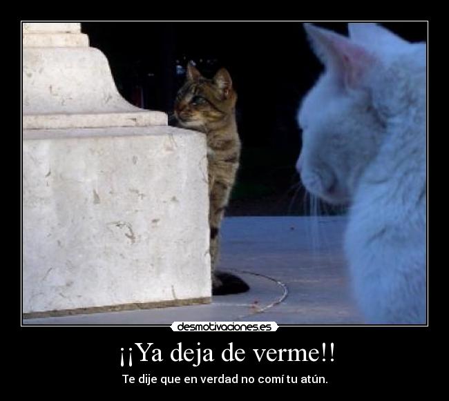 ¡¡Ya deja de verme!! -