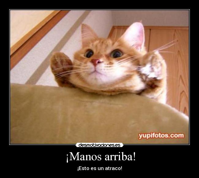 ¡Manos arriba! - 