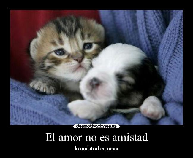 El amor no es amistad -