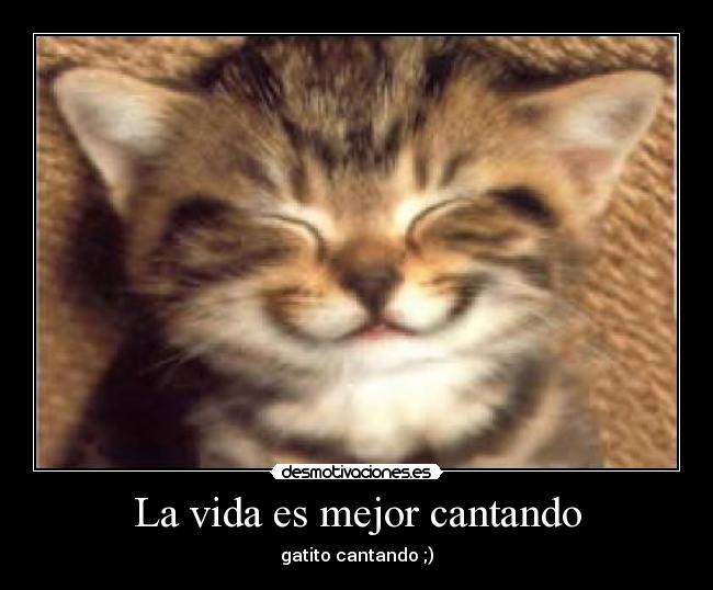 La vida es mejor cantando -