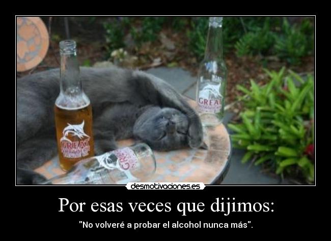 Por esas veces que dijimos: - No volveré a probar el alcohol nunca más.