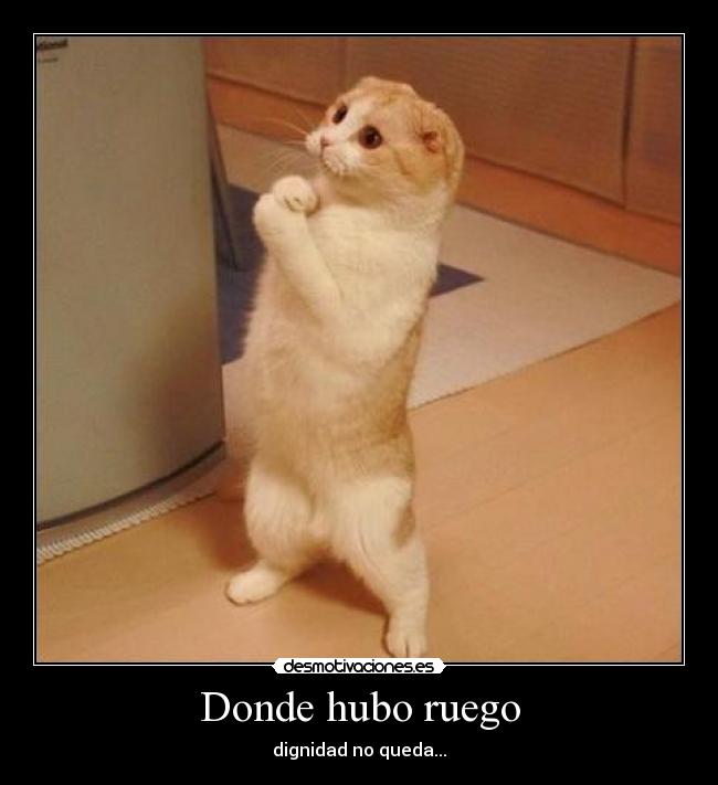 Donde hubo ruego - 