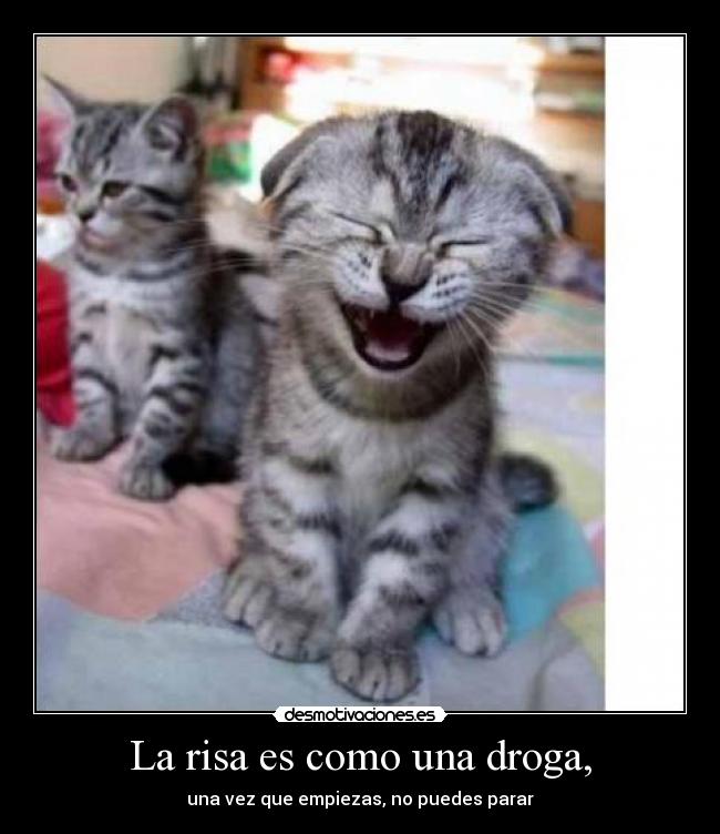 carteles risa risa desmotivaciones